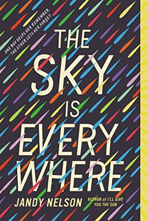 The Sky Is Everywhere book cover