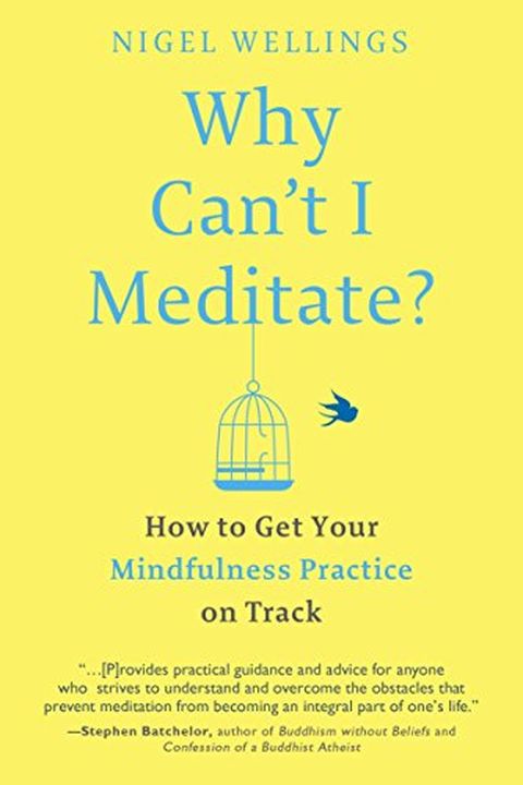 Why Can't I Meditate? book cover