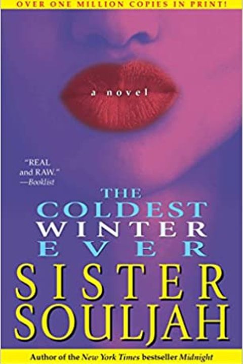 The Coldest Winter Ever book cover