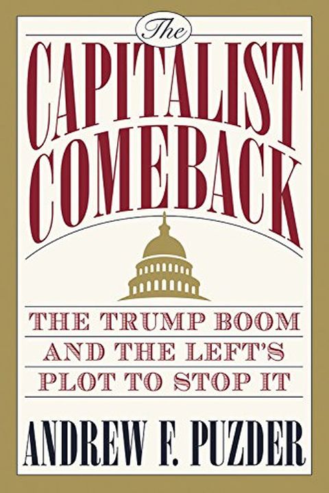 The Capitalist Comeback book cover