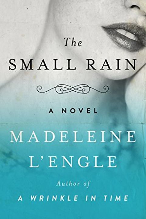 The Small Rain book cover