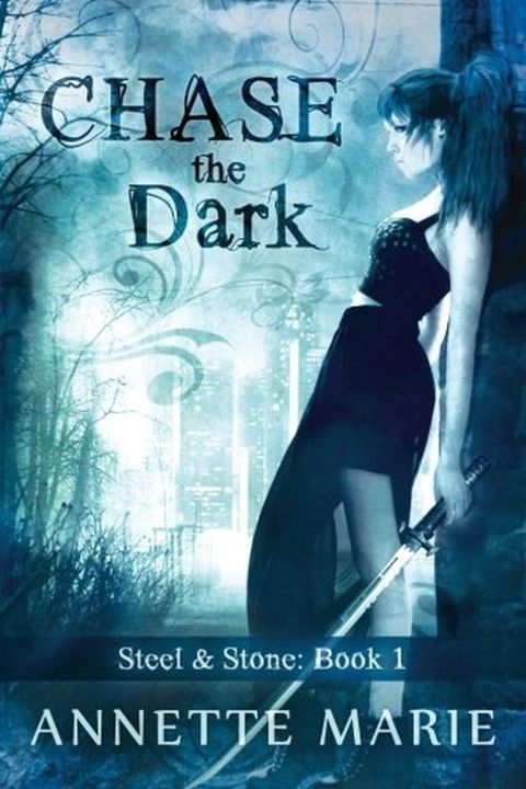 Chase the Dark book cover
