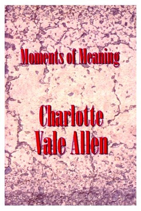 Moments of Meaning book cover