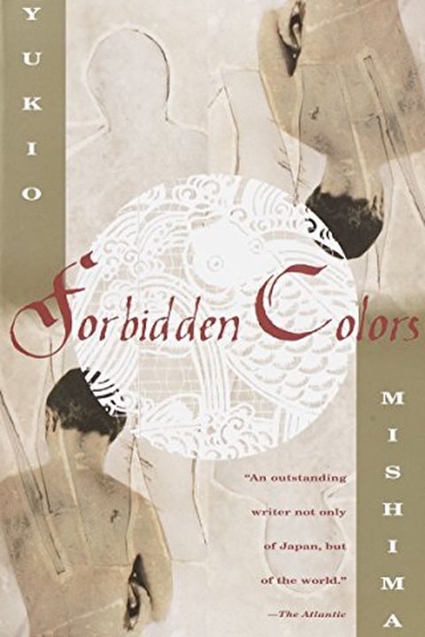 Forbidden Colors book cover
