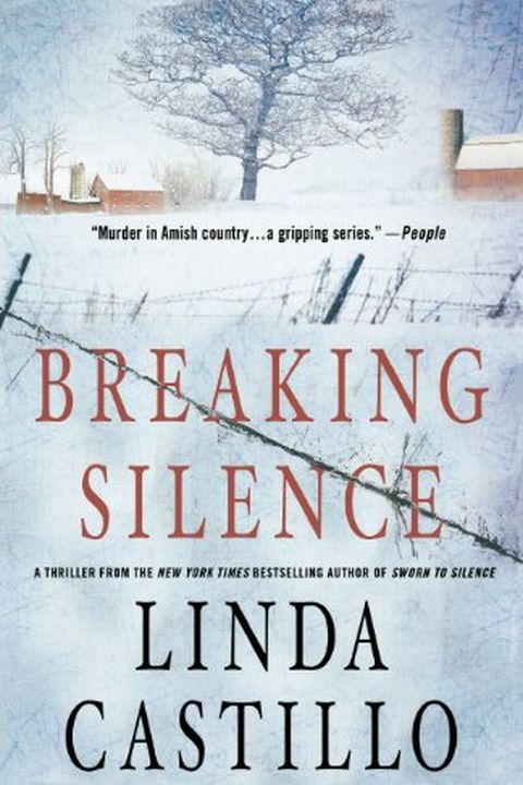 Breaking Silence book cover