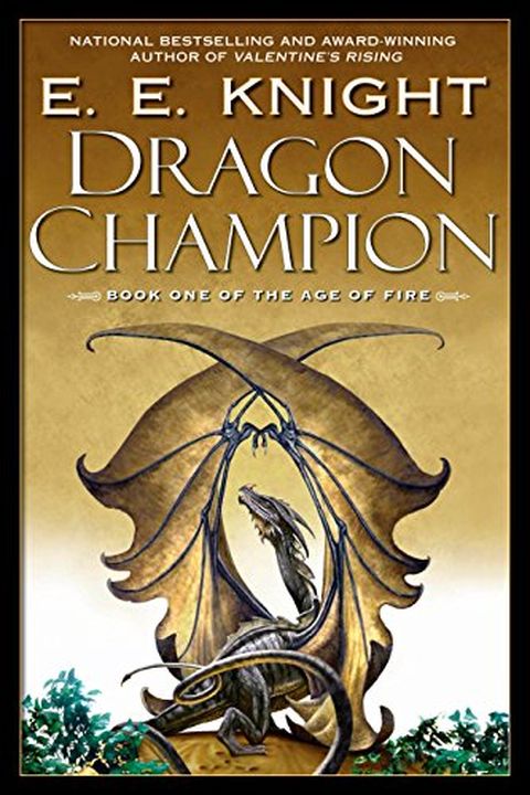 Dragon Champion book cover