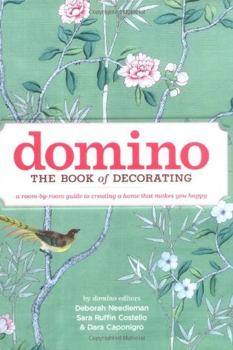 Domino book cover