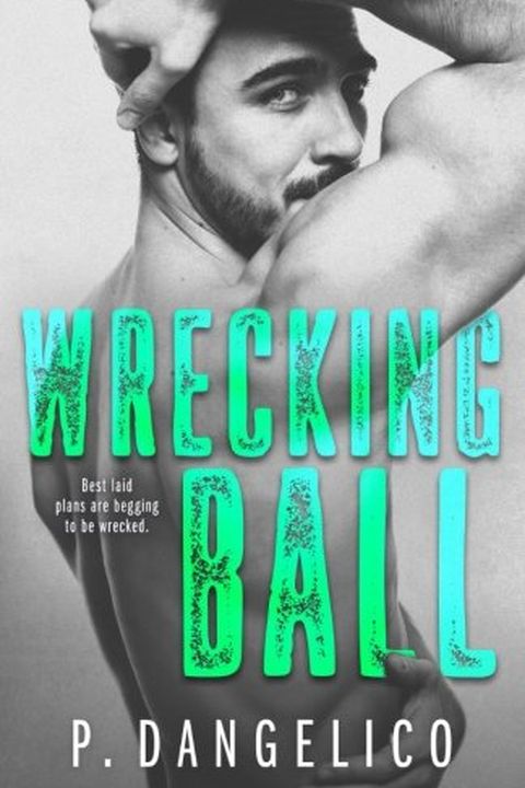 Wrecking Ball book cover