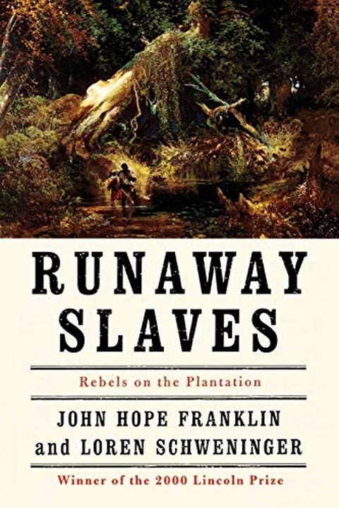 Runaway Slaves book cover