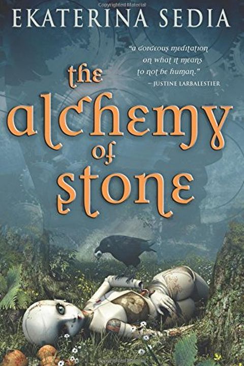 The Alchemy of Stone book cover