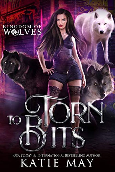 Torn to Bits book cover