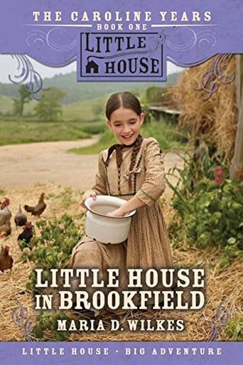 Little House in Brookfield book cover