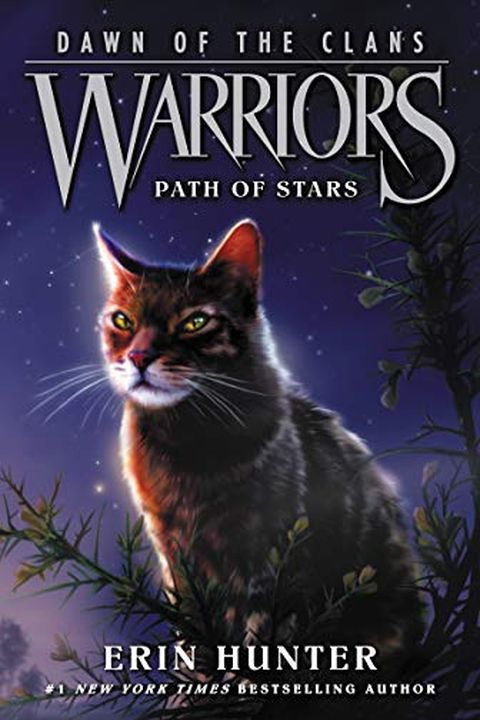 Path of Stars book cover