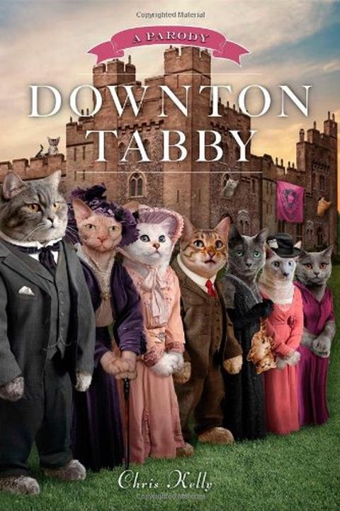 Downton Tabby book cover