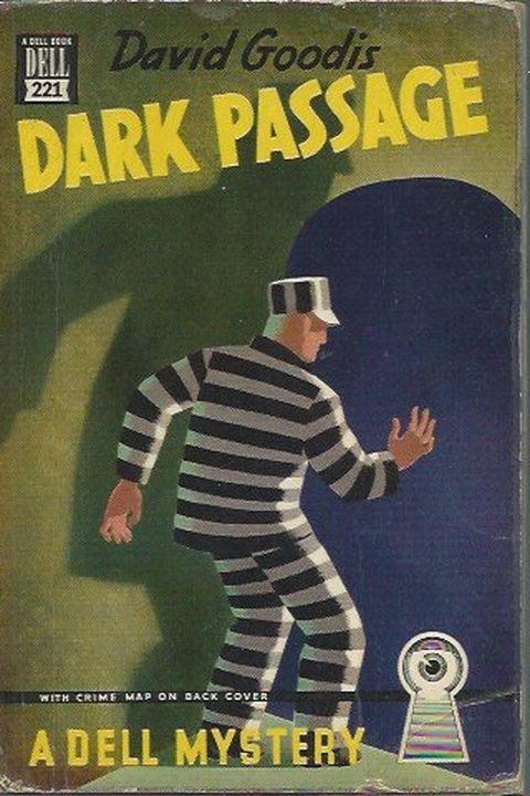 Dark Passage book cover