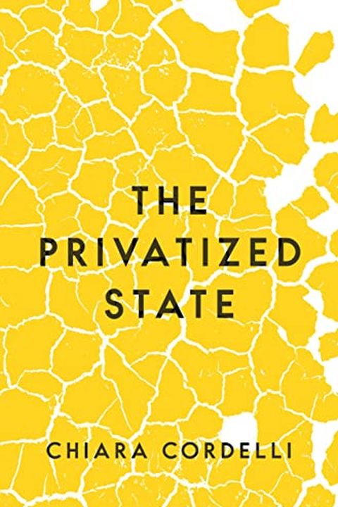 The Privatized State book cover