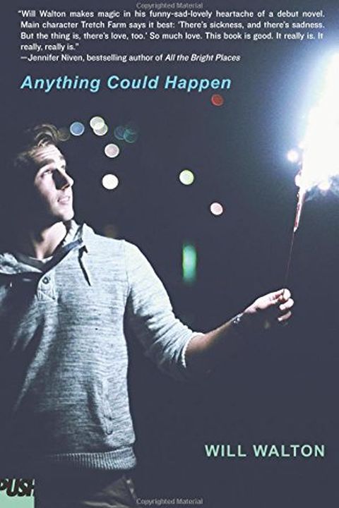Anything Could Happen book cover