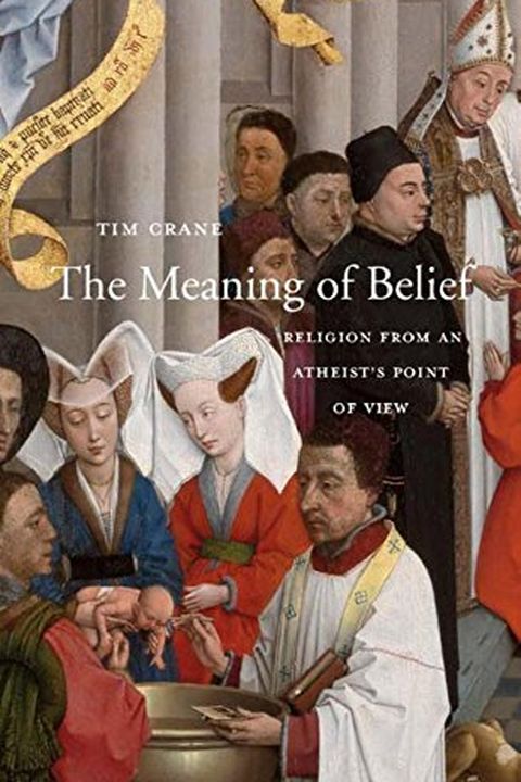 The Meaning of Belief book cover