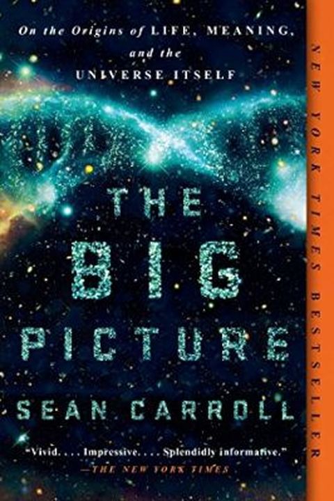 The Big Picture book cover
