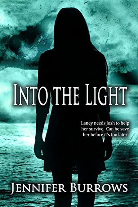 Into the Light book cover