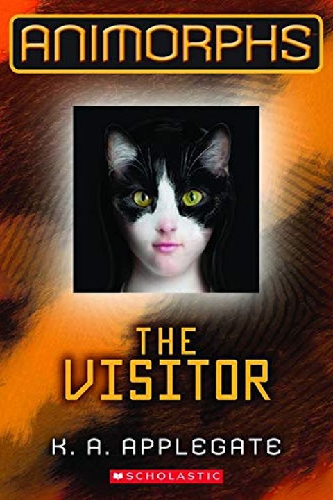 The Visitor book cover