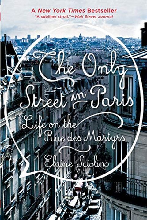 The Only Street in Paris book cover