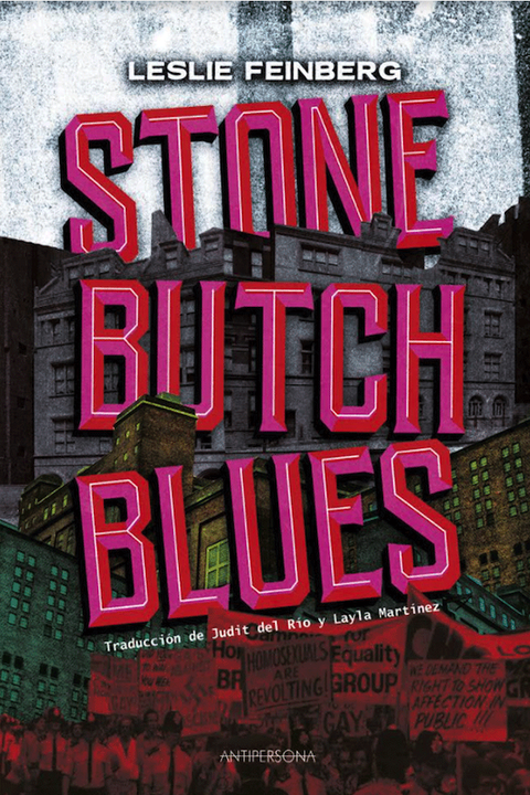Stone Butch Blues book cover