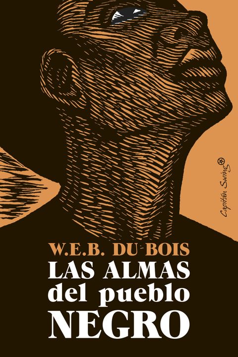 Las almas del pueblo negro book cover