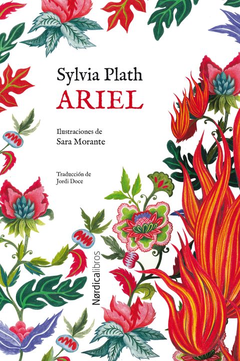 Ariel book cover