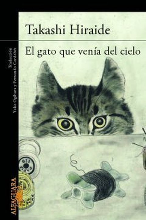 El gato que venía del cielo book cover