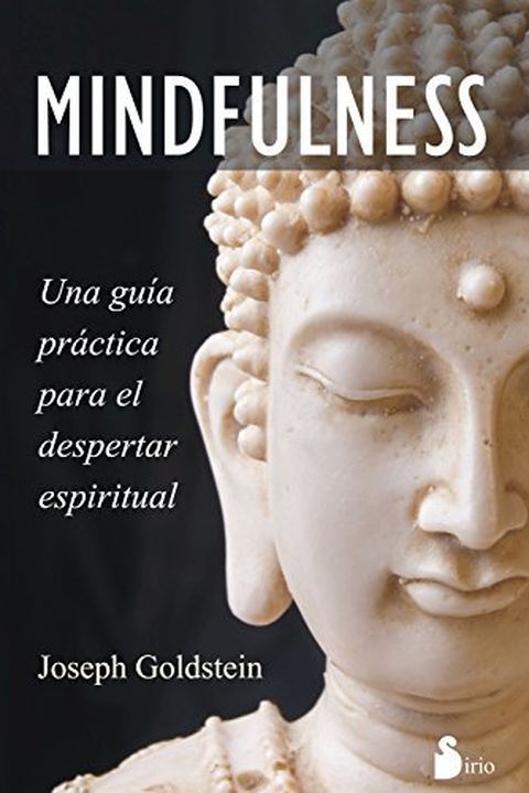 MINDFULNESS, UNA GUÍA book cover