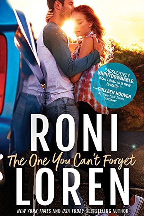 The One You Can't Forget book cover