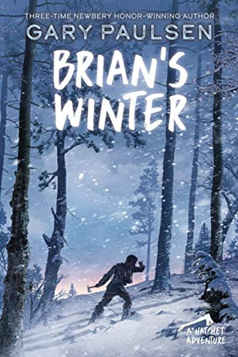 Brian's Winter book cover
