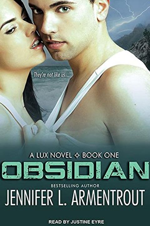 Obsidian book cover