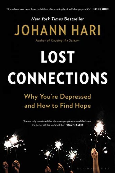 Lost Connections book cover