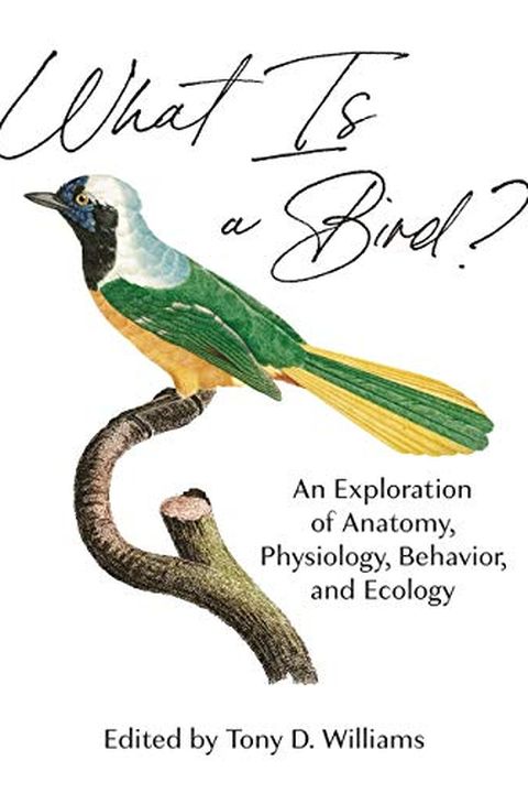 What Is a Bird? book cover