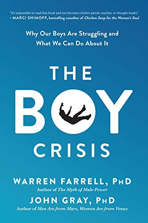 The Boy Crisis book cover
