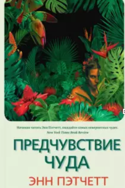 Предчувствие чуда book cover