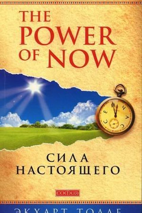 Сила настоящего book cover