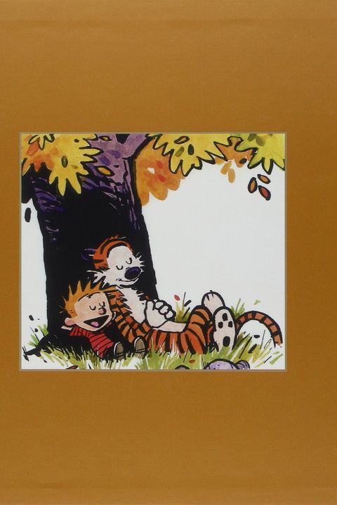 The Complete Calvin and Hobbes book cover