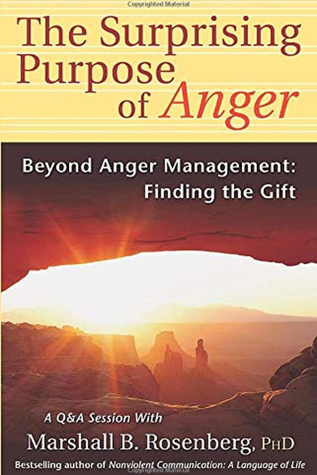 The Surprising Purpose of Anger book cover