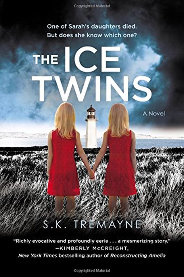 The Ice Twins book cover