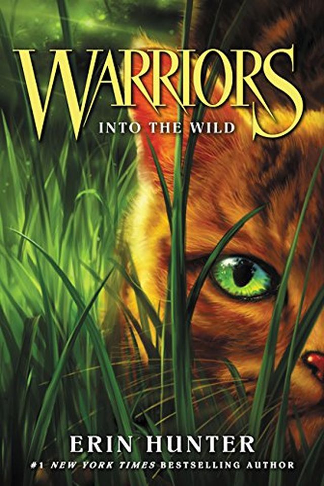 Warriors #1 book cover