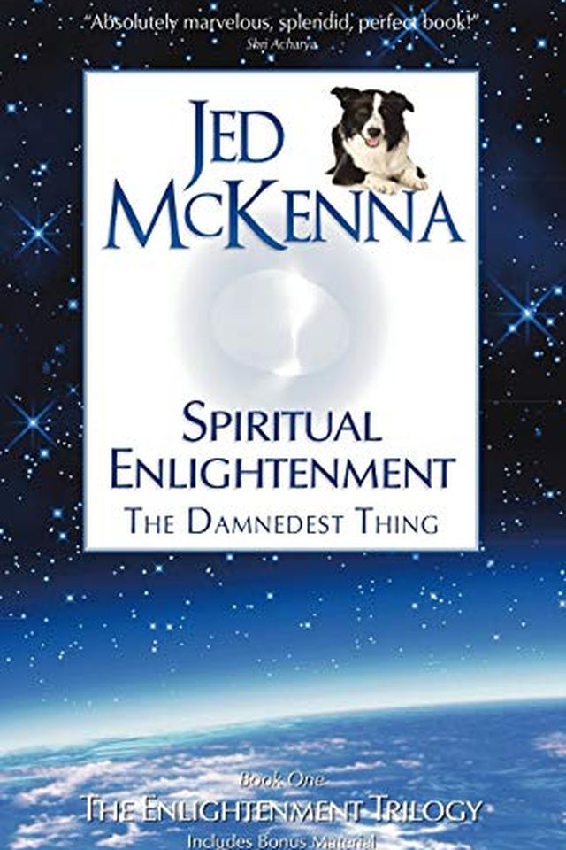 Spiritual Enlightenment, the Damnedest Thing book cover
