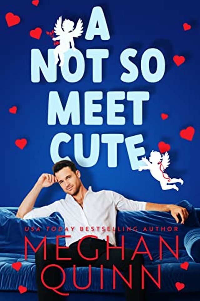 A Not So Meet Cute book cover