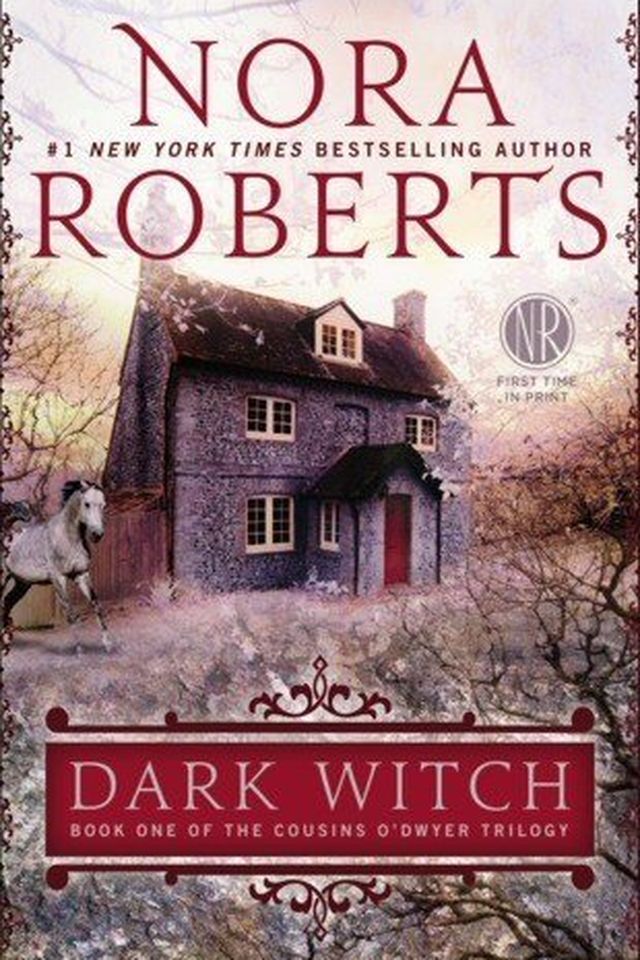 Dark Witch book cover