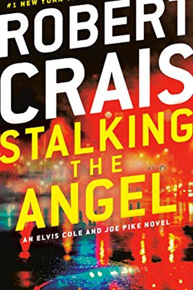 Stalking the Angel book cover