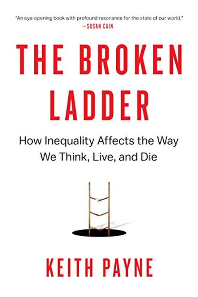 The Broken Ladder book cover