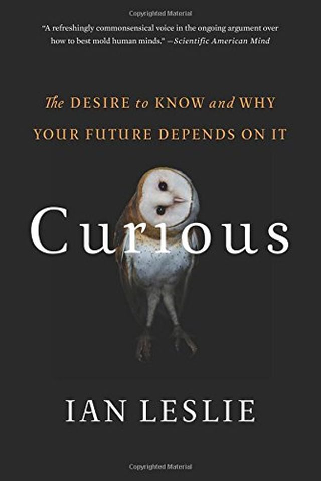 Curious book cover